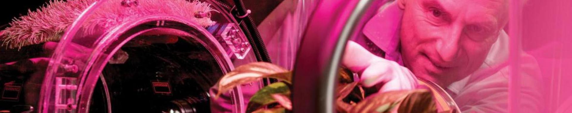 Person reaching for a plant in a chamber